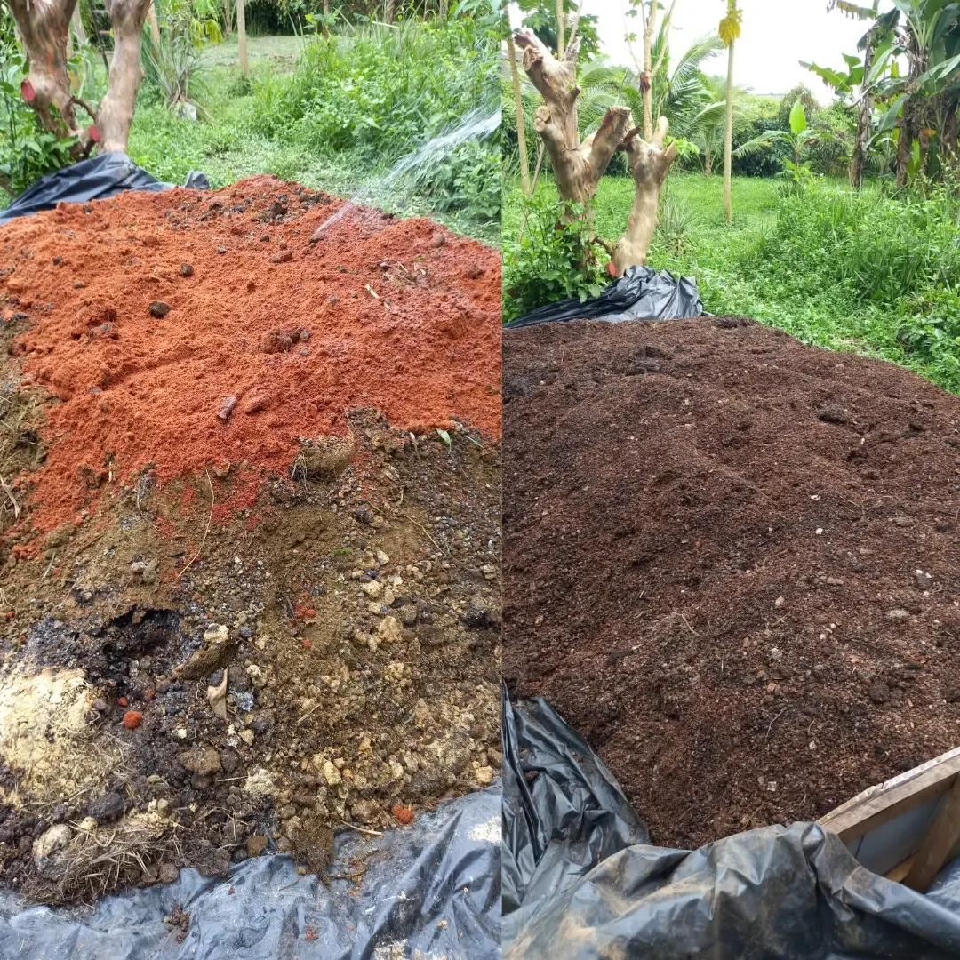 IMG_20230801_000759_986