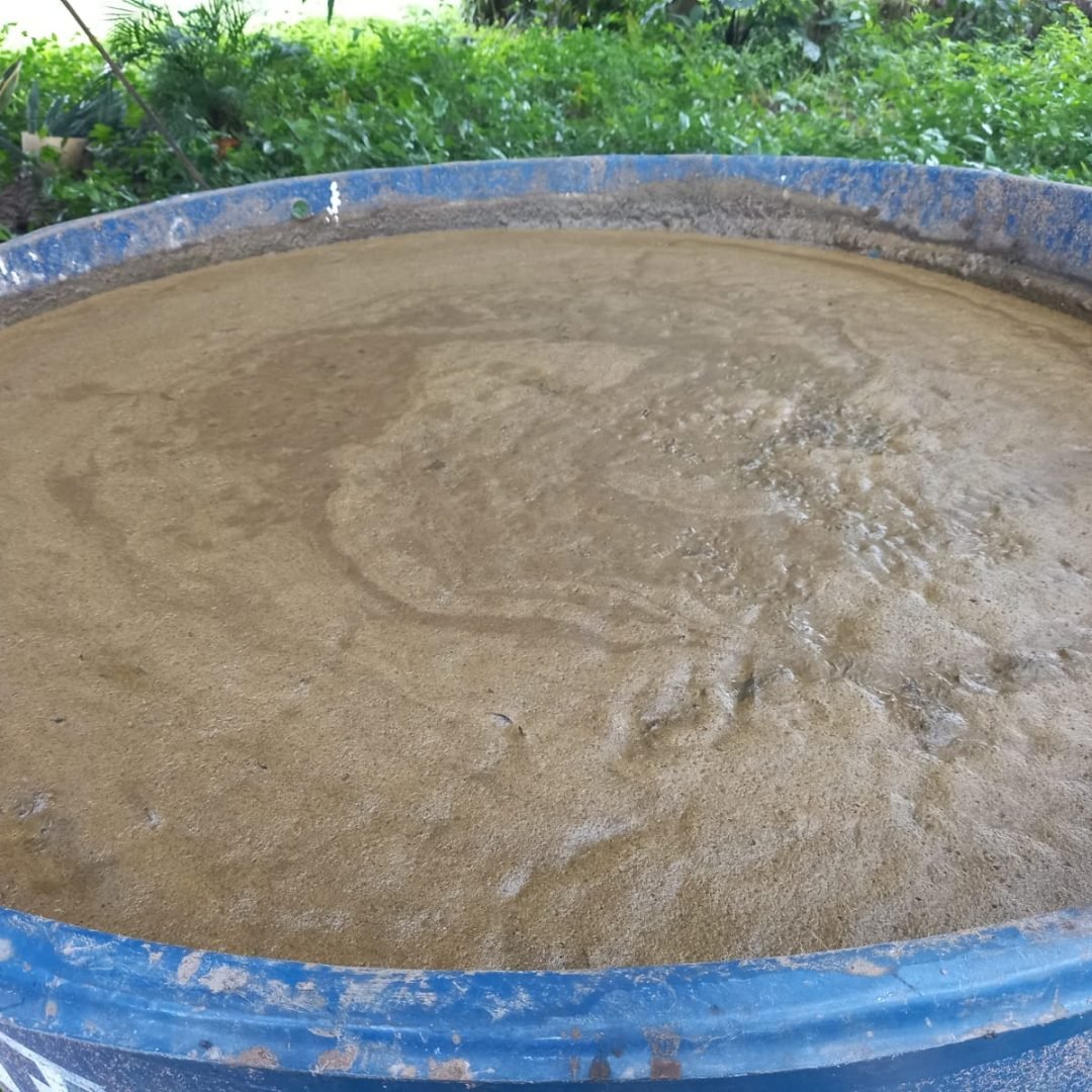 WhatsApp Image 2023-12-07 at 00.21.15